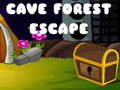 leikur Cave Forest Escape