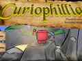 leikur Сuriophillia