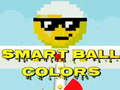 leikur Smart Ball Colors