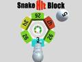 leikur Snake Hit Block