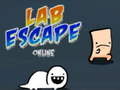 leikur Lab Escape Online