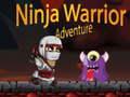 leikur Ninja Warrior Adventure