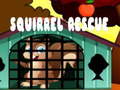 leikur Squirrel Rescue