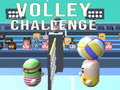 leikur Volley Challenge