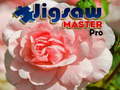 leikur Jigsaw Master Pro