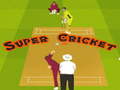 leikur Super Cricket 
