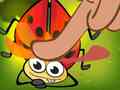leikur Insect Crush