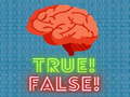 leikur True! False! 