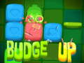 leikur Budge Up