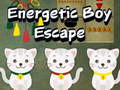 leikur Energetic Boy Escape