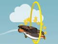 leikur Flying bird