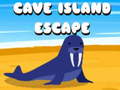 leikur Cave Island Escape