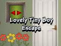 leikur Lovely Tiny Boy Escape