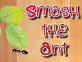 leikur Smash the Ant