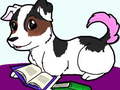 leikur Pets Slide
