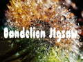 leikur Dandelion Jigsaw