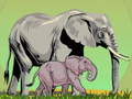 leikur Wild Animals and Their Babies