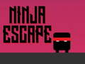 leikur Ninja escape