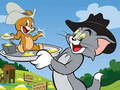 leikur Tom and Jerry Slide
