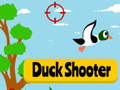 leikur Duck Shooter