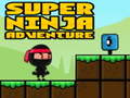 leikur Super Adventure Ninja