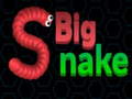 leikur Big Snake