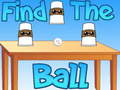 leikur Find The Ball