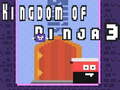 leikur Kingdom of Ninja 3
