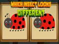 leikur Which Insect Looks Different