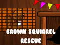 leikur Brown Squirrel Rescue