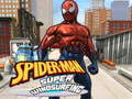 leikur Spiderman Skateboarding