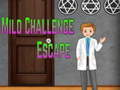 leikur Amgel Mild Challenge Escape