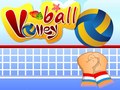 leikur Volleyball