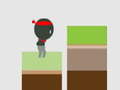 leikur Ninja the Jump