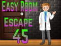 leikur Amgel Easy Room Escape 45