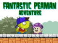 leikur Fantastic Peaman Adventure 