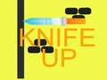 leikur Knife Up