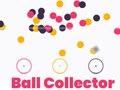 leikur Circle Ball Collector