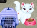 leikur Baby Taylor Pet Care