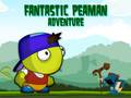 leikur Fantastic Peaman Adventure