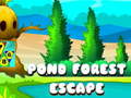 leikur Pond Forest Escape