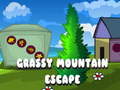 leikur Grassy Mountain Escape