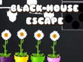 leikur Black House Escape
