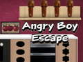 leikur Angry Boy Escape