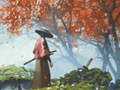 leikur Samurai Reflexion