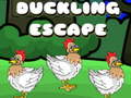 leikur Duckling Escape