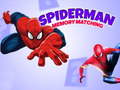 leikur Spiderman Memory Matching
