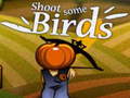 leikur Shoot Some Birds