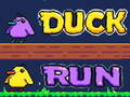 leikur Duck Run