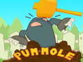 leikur Pum-Mole